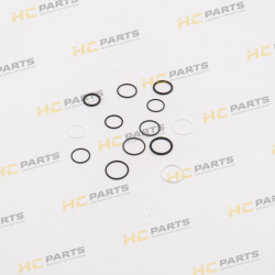 JCB Cylinder lock seal kit - JS