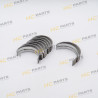 JCB Main bearing set +0.50mm DIESELMAX 444 - AZERI PARTS