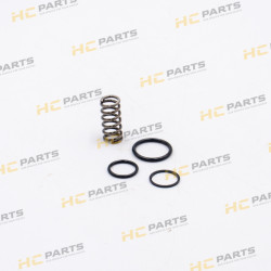 JCB Swing smoothing valve seal kit - AZERI PARTS