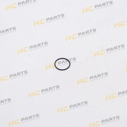 JCB Fuel injection nozzle DIESELMAX - AZERI PARTS