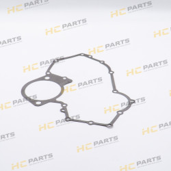 Timing case gasket (fits...