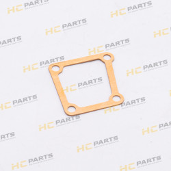 Thermostat gasket in the...