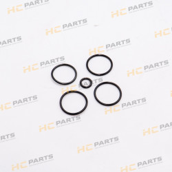 JCB Inlet section seal kit...