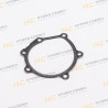 JCB Water pump gasket, ISUZU 4JJ1 engine - OEM