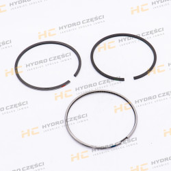 JCB Piston complete with rings +1.00mm DIESELMAX - AZERI PARTS