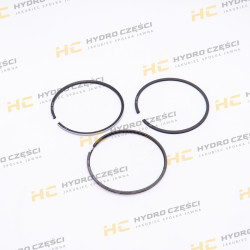 Piston rings 105mm +1.00mm...