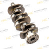 JCB Crankshaft 1100 - AZERI PARTS