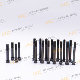 Cylinder head bolt set...
