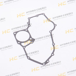 Timing case gasket (fits...