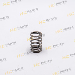 Internal valve spring (fits...