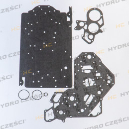 JCB Zestaw uszczelek dół silnika ECOMAX 444 T4 - AZERI PARTS