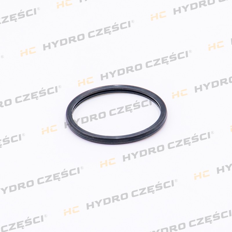 ISUZU Thermostat gasket - ISUZU