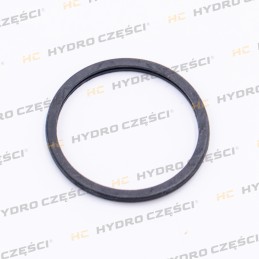 ISUZU Thermostat gasket -...