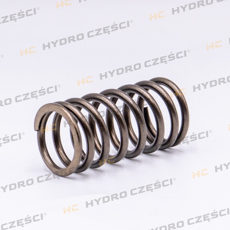 ISUZU Valve spring 4JJ1 - ISUZU