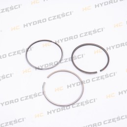 Pierścienie tłokowe 100mm STD (pasuje do CAT 3054B 3056) - AZERI PARTS